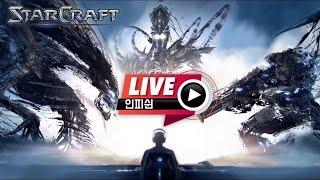 25.01.06(월) 【 인피쉰 생방송 다시보기 】 스타 빨무 스타크래프트 Starcraft