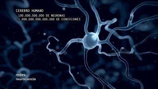 Redes 160: Cómo se conectan las neuronas - neurociencia