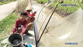 'Nganco', Sehari Bisa Bawa Pulang 4 Kg Ikan Wader