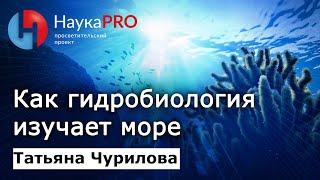 Как и зачем гидробиология изучает море? – Татьяна Чурилова | Лекции по биологии | Научпоп