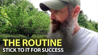 Routine, Structure and Discipline Wins The Day