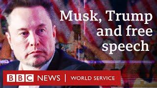 Elon Musk: How did he get close to Donald Trump? - BBC World Service