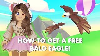 HOW to get a FREE BALD EAGLE in Adopt me! FINAL WEEK!