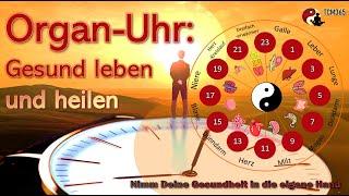 Organuhr nach TCM: Aktiviere deine Organe optimal für Gesundheit!