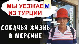 Мы уезжаем из Турции. Собачья жизнь в Мерсине. Мечты пенсионеров о Тэдже.