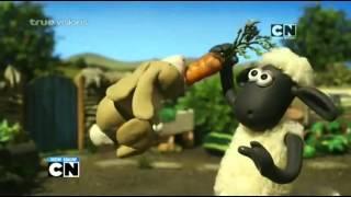 Cartoon Network Asia :Shaun the Sheep [Promo]