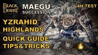 BDO | Yzrahid Highlands | New Easiest Spot of Game | 4H Test | Quick Guide | Succession Maegu |