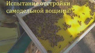 Испытание отстройки самодельной вощины.