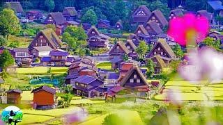 Shirakawa-go the BEST ancient village in Japanshirakawa-go Gifu Ken Japan#travelwithme.