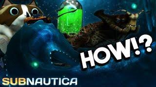 Subnautica - A Gargantuan Arctic Leviathan REVEALED!? NEW ITEMS & Arctic DLC Info - Full Release 1.0