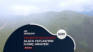 Alaca Yaylası'nın İlginç Hikayesi | Abi Nerdesin?