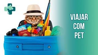 Viajar com cachorro para o exterior o que devo fazer ?