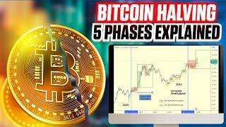 5 Phases of Bitcoin Price Discovery - Ultimate Guide For 2024 & 2025