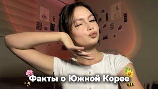 Мифы и факты о Южной Корее! (и ещё много интересной информации…..)