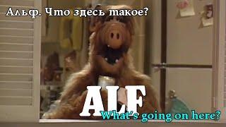 Альф. Що тут таке? Alf. What's going on here? Альф. Что здесь такое? #alf