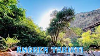 Tabiat manzaralari. Angren