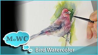 Bird Painting With Wet in Wet Watercolor Underpainting Technique