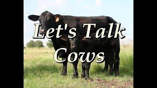 Let's Talk Cow Breeds | Making Money With Cattle