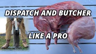 How to Raise and Butcher Meat Rabbits: COMPLETE GUIDE