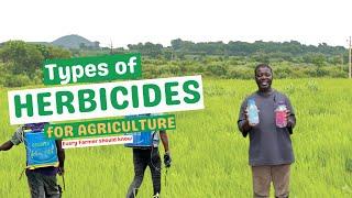 TYPES OF HERBICIDES IN AGRICULTURE: Every Farmer should know/ Understanding the different herbicides
