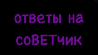 Котик на Ajo+влажник альфапет - полноценное ли питание?