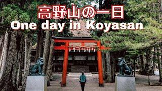 One day in Koyasan: Sleeping in a Buddhist Temple in Japan's Most Sacred Town.