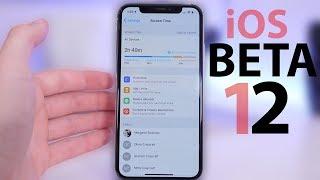 iOS 12 Beta 2: what's new?