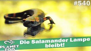 Die Salamander Lampe bleibt!  PLANET ZOO [Deutsch] #540