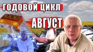 Годовой цикл ухода за пчелами Работы пчеловода на пасеке в августе