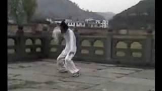 Wudang Baguazhang (武当八卦掌) - Master Yuan Xiu Gang (袁修刚)