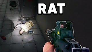 MP7 - THE RAT DESTROYER