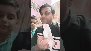 Neenu Beautiful Hand Tame Bird#Part1#australia #beautiful#kids