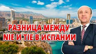 NIE в Испании / Разница между NIE и TIE в Испании / Легалифасиль Адвокаты в Испании