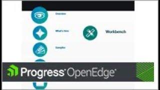 OpenEdge: Getting Started with Progress Developer Studio for OpenEdge