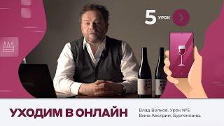 Влад Волков. Урок №5. Австрийские вина. Бургенланд