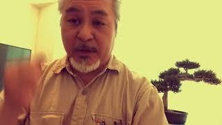 Mr Miyagi Never been attacked by tree Fan Theory