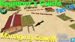 Farming Simulator 22! | Beginner's Guide Part 14! | Managing Cows! | #FS22 | #CJFarms