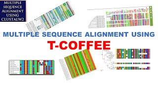 Sequence Alignment | Multiple Sequence Alignment | T-COFFEE | Bioinformatics Tutorials