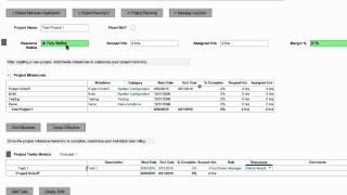 Project Planning demo