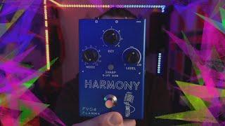 More of YOU!! - Flamma FV05 Harmony Pedal