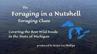 Foraging in a Nutshell - Some of the Best Wild Foods of Michigan