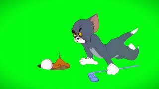 tom and jerry||many action of tom and jerry#greenscreen #copyright free#thanksforwatching