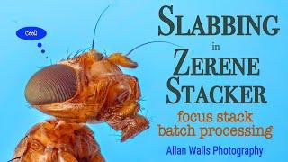 Slabbing in Zerene Stacker - focus stack batch processing