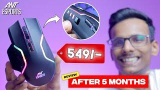 Ant Esports GM320 Gaming Mouse Review *AFTER 5 MONTHS*