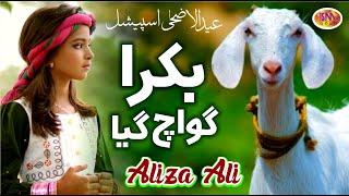 Aliza  Ali || Mera Bakra Guwach Gaya  || Bakra Eid Nasheed 2021 | Beautiful Video |