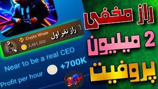 راز 2 میلیونی شدن پروفیت همستر کمبت | آموزش فعال کردن توربو همستر