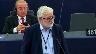 Attila Ara Kovács EU debates human rights in Russia and the "Foreign Agents" Law