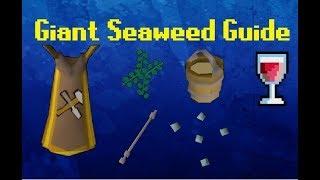 Ironman Giant Seaweed Crafting Guide