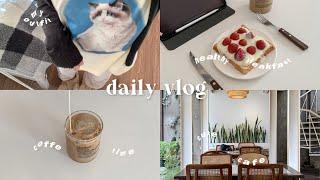 daily vlog️: productive 7AM , grocerry , simple breakfast , coffe , cozy cafe , cozy night ⋆｡⋆୨୧˚