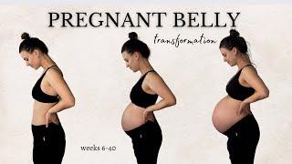 PREGNANT BELLY PROGRESSION | weeks 6-40 | first time mama